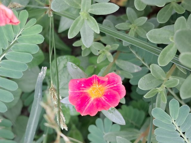 20250620_153349.jpg