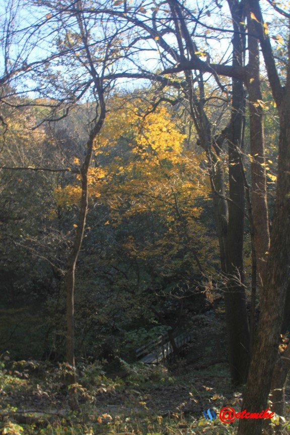 fall trees colors landscape fall-colors fontenelle-forest Fall02060.jpg