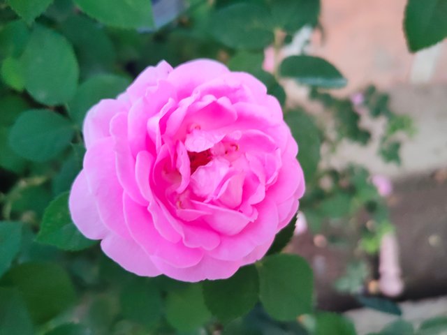 IMG20240409183439.jpg