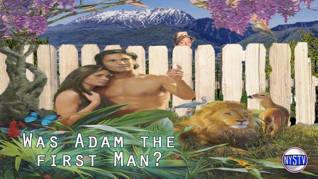 was adam the first man.jpg
