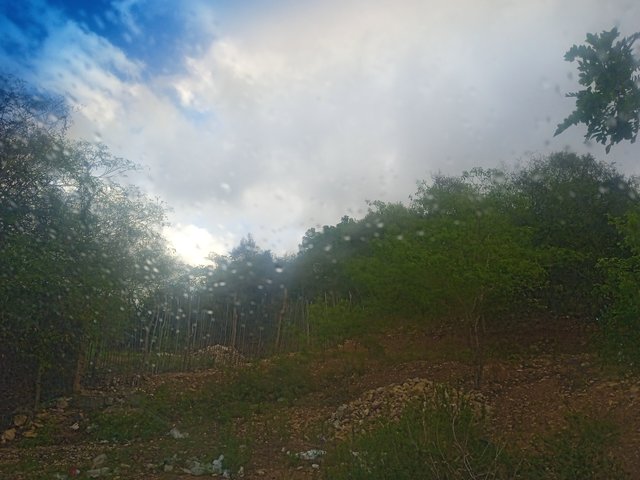 IMG_20250111_084714.jpg