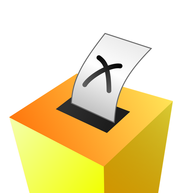 A_coloured_voting_box_(no_bg).svg.png
