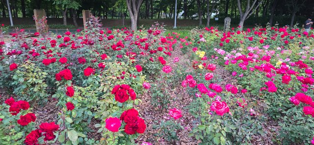 KakaoTalk_20250605_220126977_23.jpg