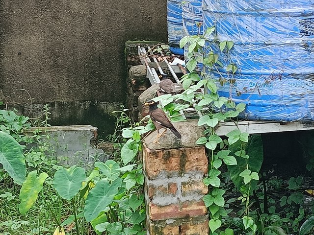 1000052467.jpg