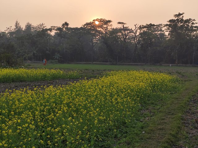 IMG_20250120_165339.jpg