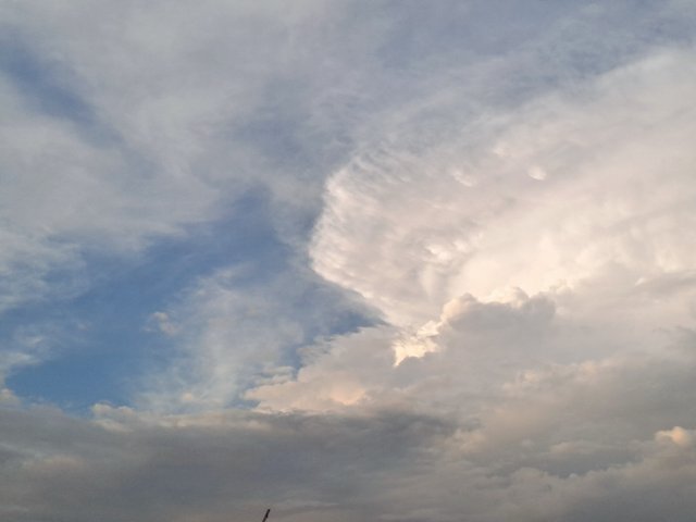 20250706_184040.jpg