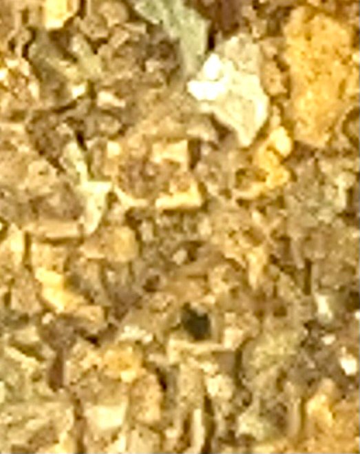 IMG_1610.jpeg