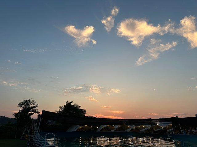 IMG_9827.jpeg