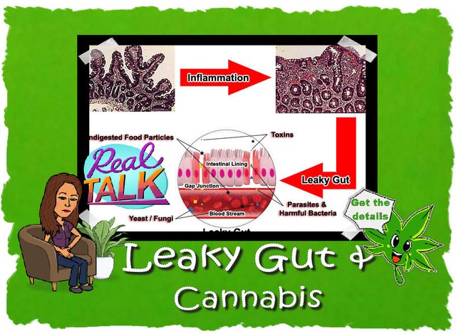 # LeakyGut_featureimage2.jpg