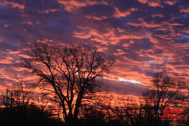 morning dawn sunrise golden-hour skyscape landscape IMG_0344.JPG