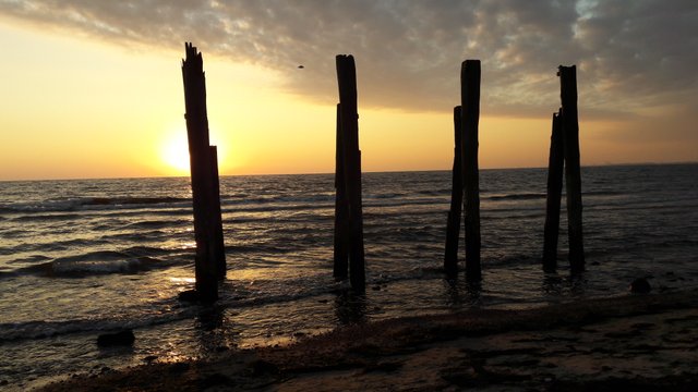 20170930_070247.jpg