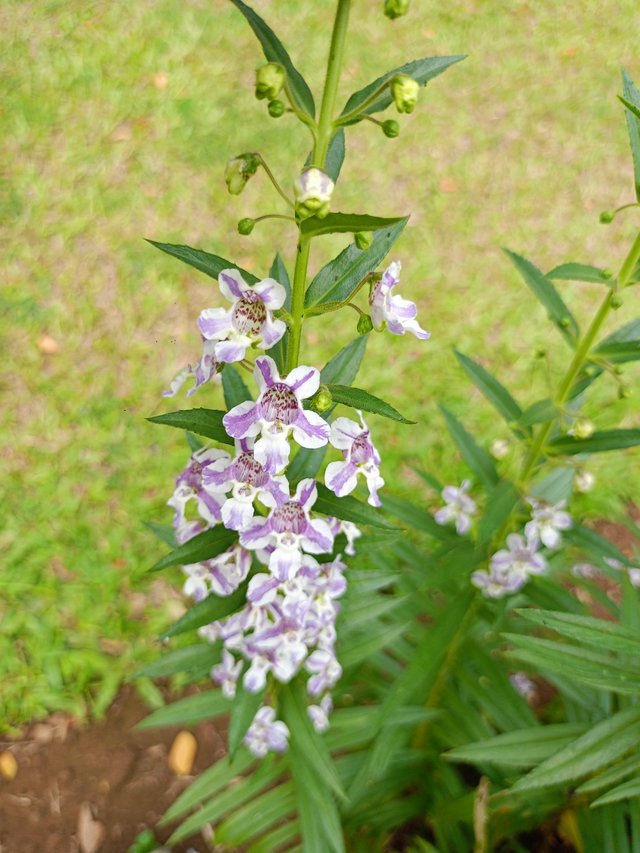 IMG20250404095831.jpg