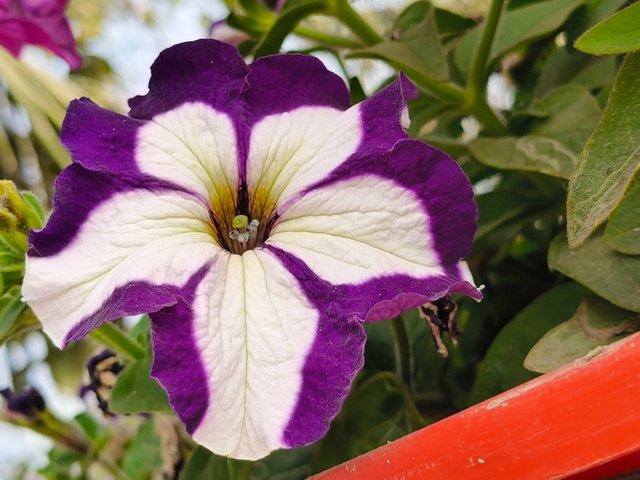 1000190165.jpg