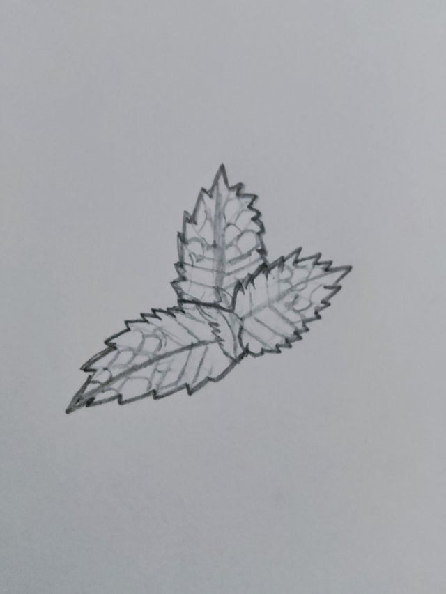 1000094955.jpg