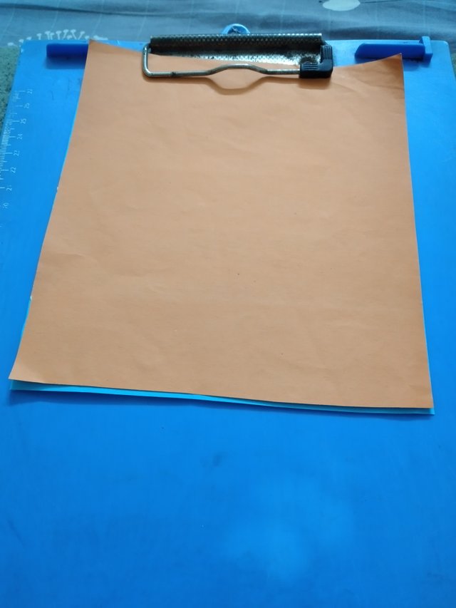 20250424_070012.jpg