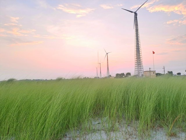 20250810_183354.jpg