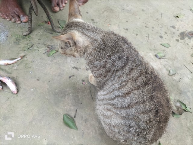 IMG20250407095838.jpg