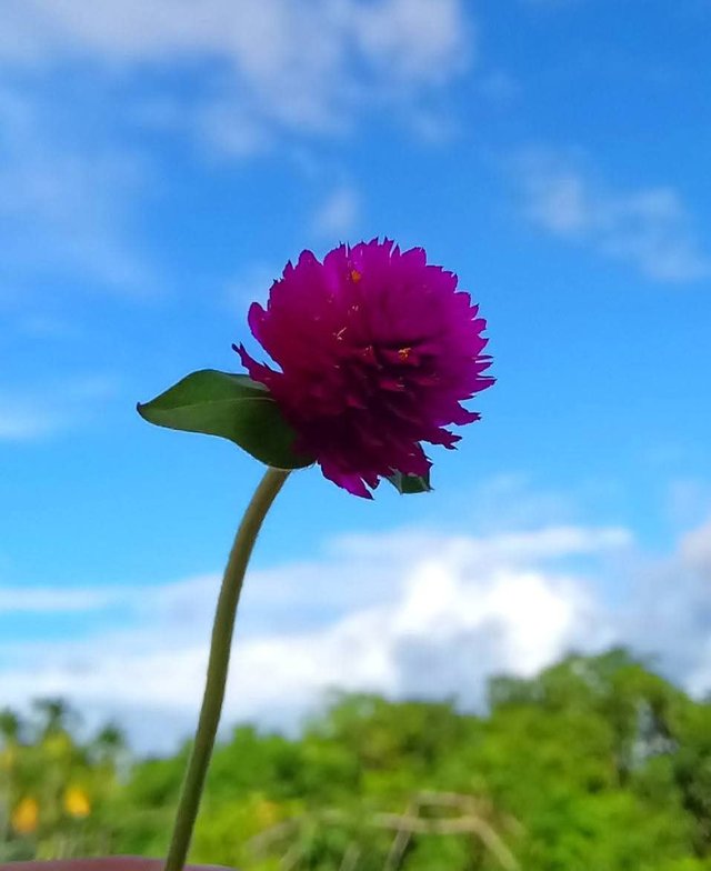 1000042666.jpg