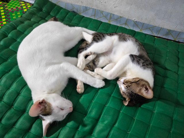 IMG20251016212038.jpg