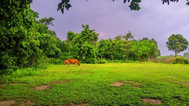 ®GcamHero_20240720_161141_🍏🌶️ Cinematic Glow By RAJU HASAN - LMC8.4R17 - .jpg