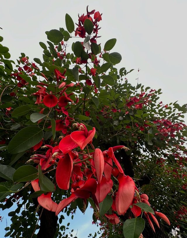 IMG_20250613_085821.jpg