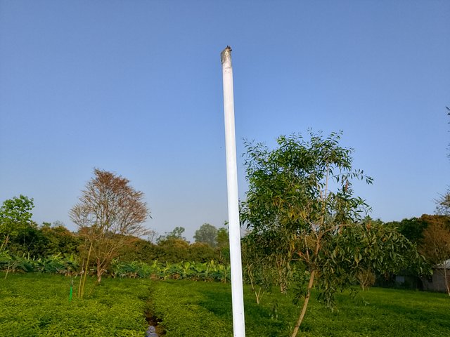 1000032910.jpg