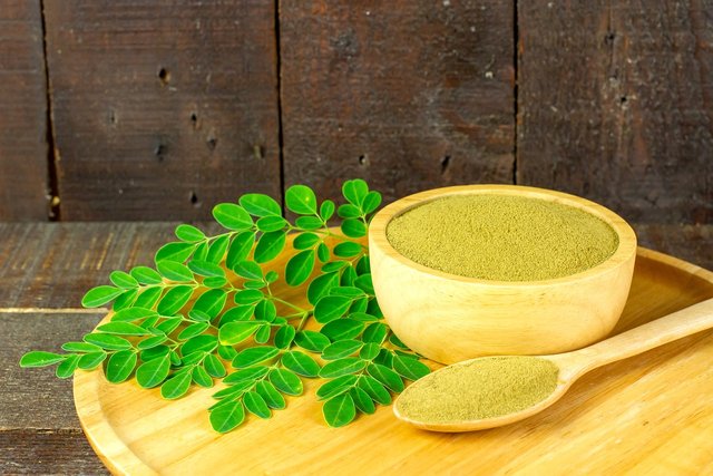 moringa-6582660_1280.jpg