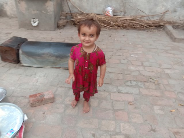 IMG_20250501_180257.jpg