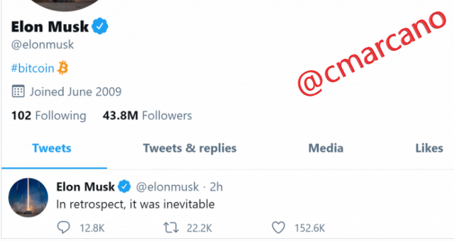 elon1@.png