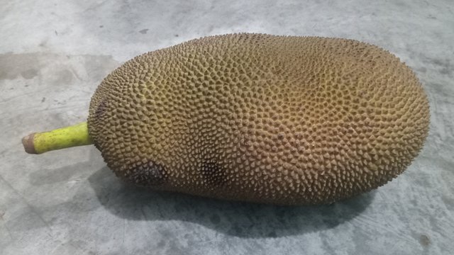 1000060345.jpg