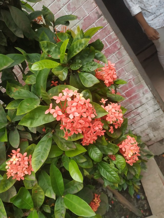 IMG_20250803_113508.jpg