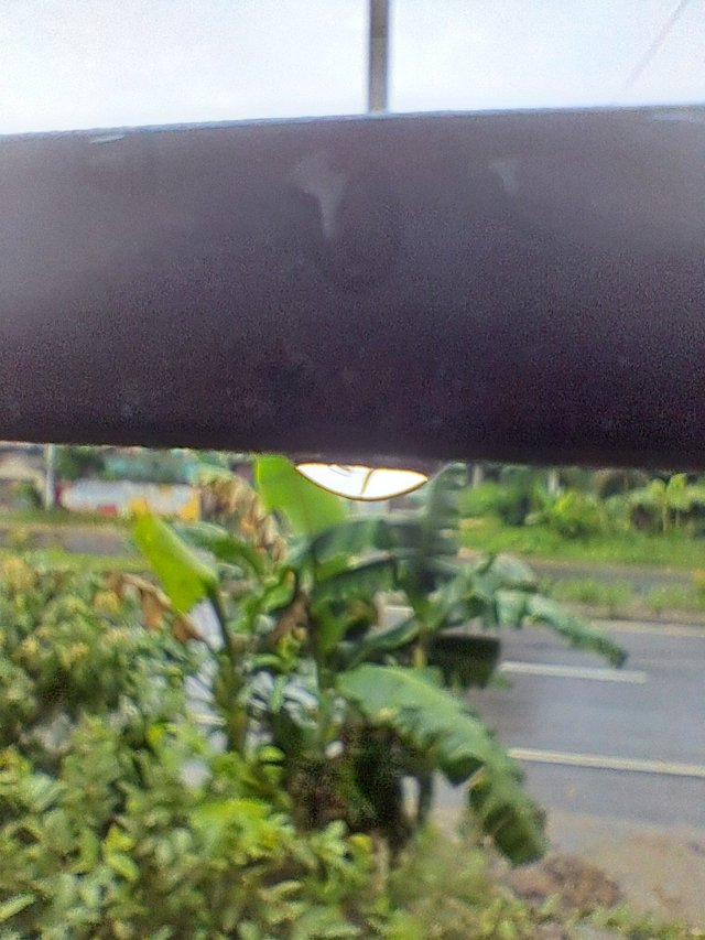 20250528_142435.jpg