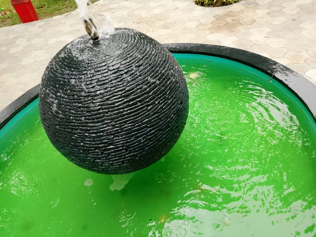 1000035762.jpg