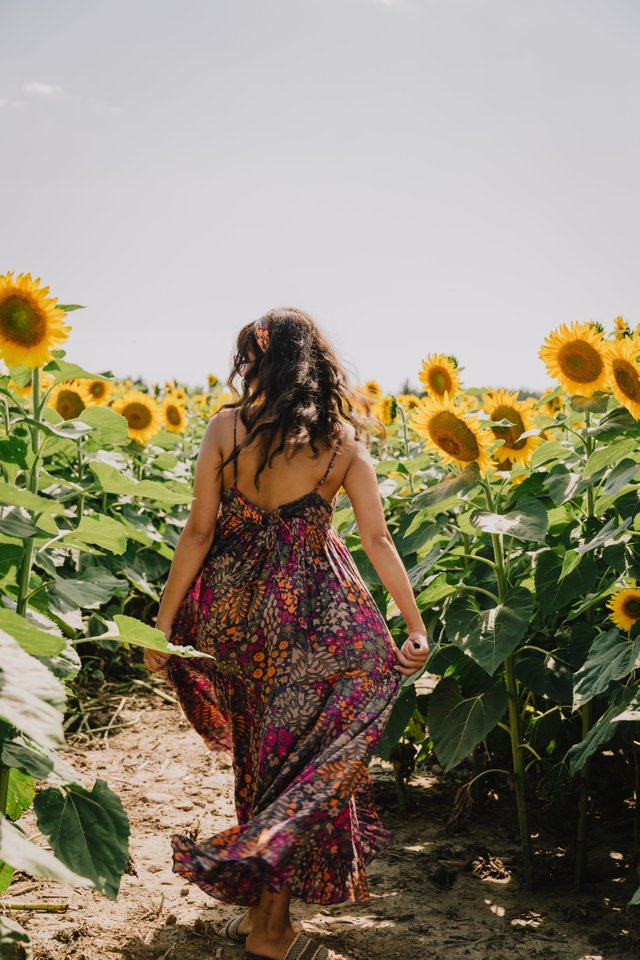 person-walks-down-sunflower-row.jpg