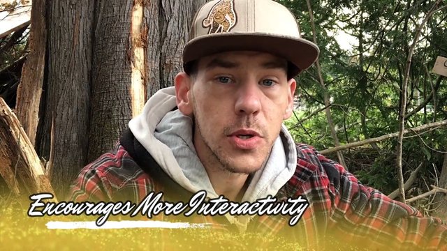Commenting Encourages More Activity