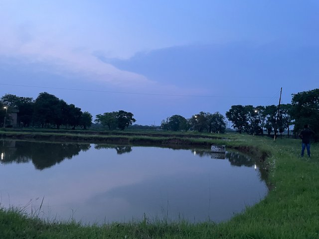 IMG_3134.jpeg
