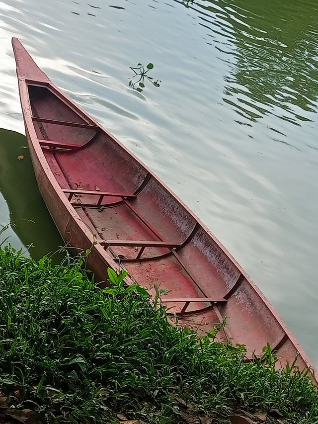 IMG20250626171837.jpg