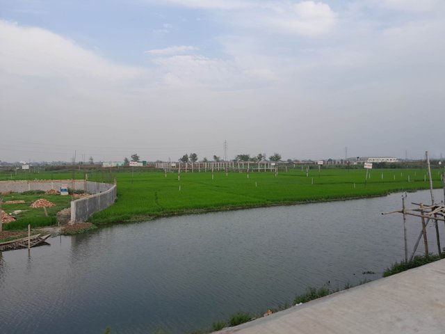 341195684_778982537062681_2810243480274774508_n (2).jpg