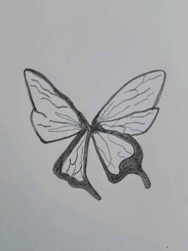 1000095615.jpg