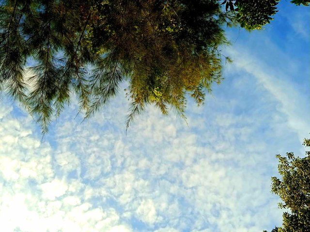 IMG-20250913-WA0147.jpg