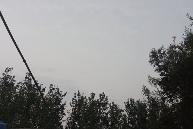 1000109650.jpg