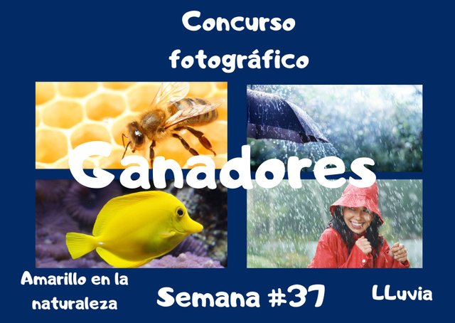 Concurso fotografico #3 (26).jpg