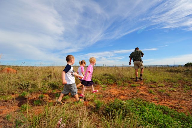 three-of-the-best-family-friendly-safari-lodges-in-timbavati-bush-walk.jpg