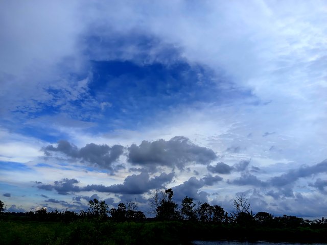 1000035168.jpg