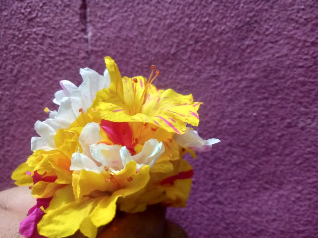 IMG20250320180434.jpg