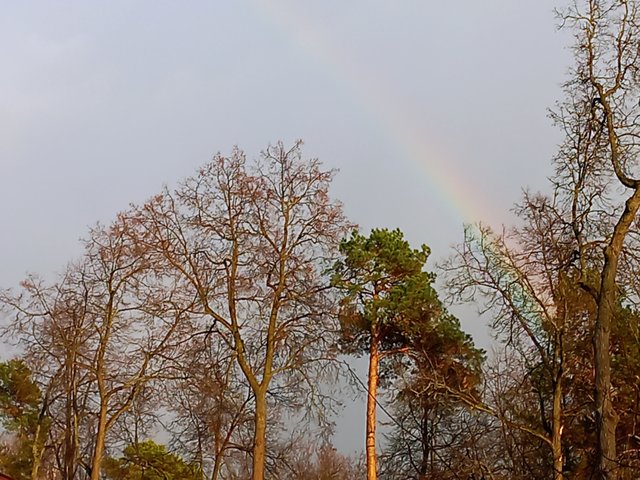 20211023_161754_mh1635099192900.jpg