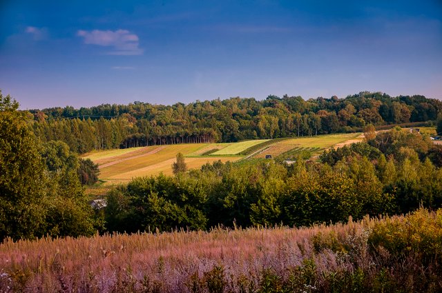 _DSC0002a.jpg
