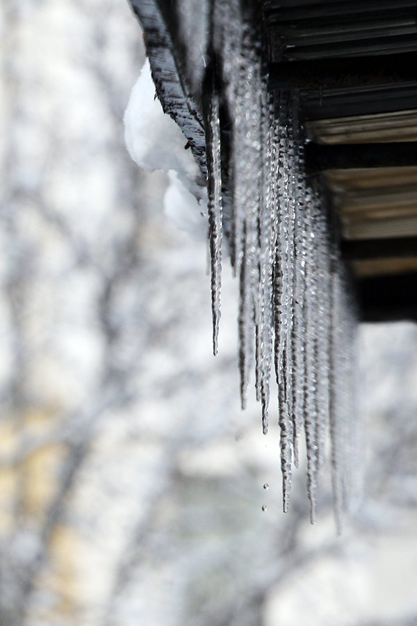 Icicles_2020_001_crop_s.jpg