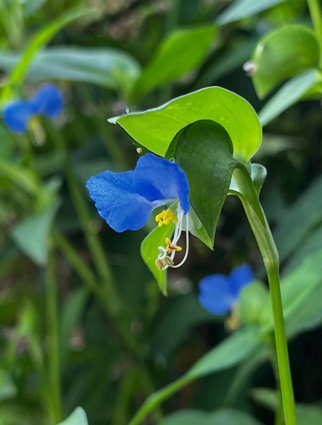 IMG_20250706_161636.jpg