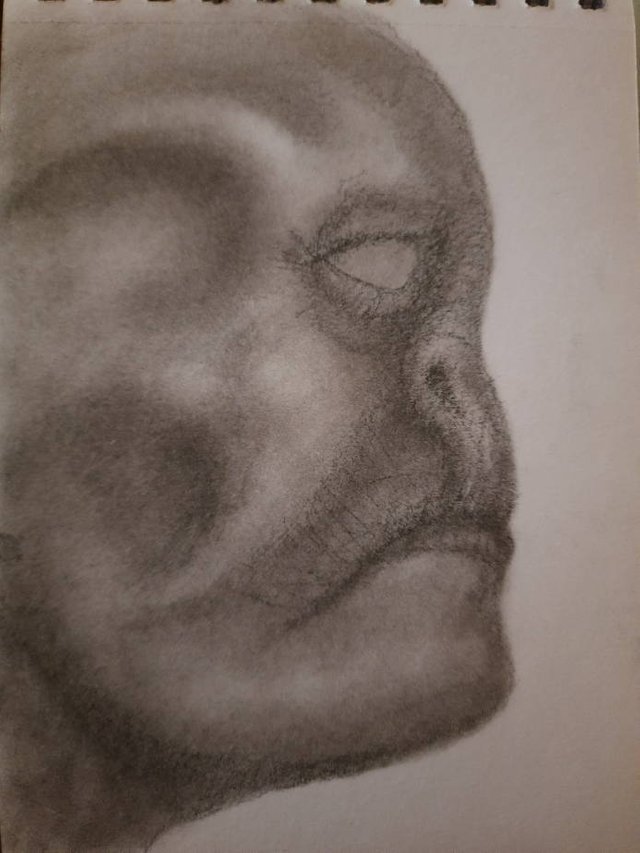 20250603_110839.jpg